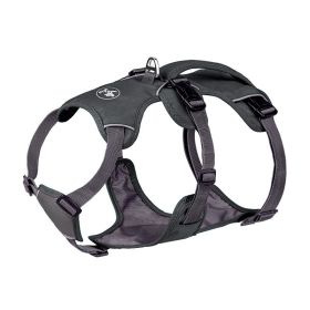 Pet Harness Dog Hand Holding Rope (Option: Gray-L)